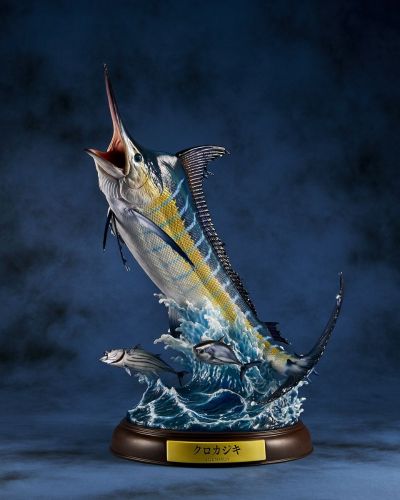 NATURE TALES 蓝枪鱼