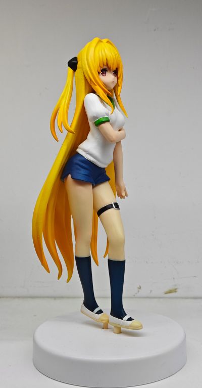 金色暗影 体操服ver.