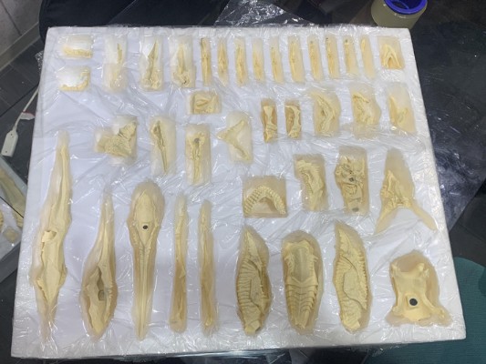 幻之究极造型 加美拉2 巨大雷吉翁 专业手工模型套件（Garage Kit）