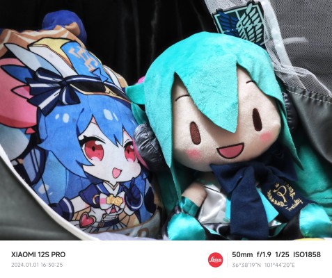 可爱软绵绵玩偶 Preciality系列 L码 初音未来