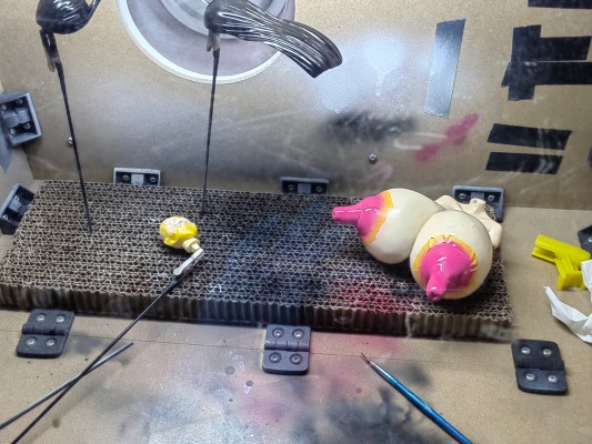 您的邻家姐姐  黒沼