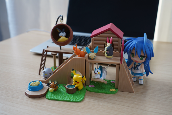 宝可梦 森林操场