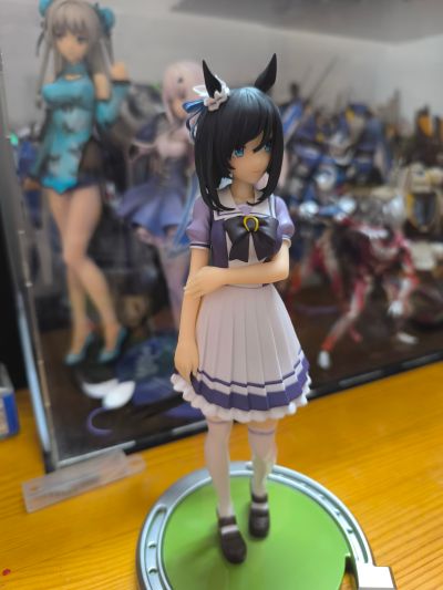 赛马娘 闪耀！优俊少女 荣进闪耀