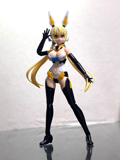 Vlocker's Fiore Iris