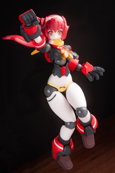 机械新人类 瓦尼亚