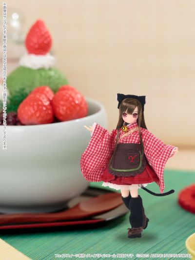 PID002-AYC  Picco Ex☆Cute/爱华 ~美味美味餐厅~穿搭套装（AZONE商城限定）