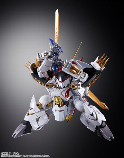 METAL BUILD DRAGON SCALE  龙王丸