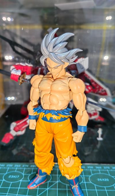 S.H.Figuarts  孙悟空 自在极意功 -丰太郎版-