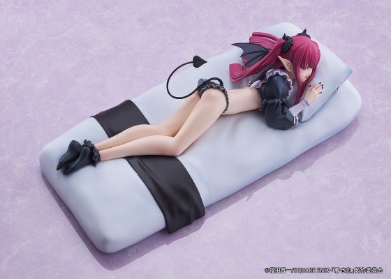 更衣人偶坠入爱河 喜多川海梦 利兹