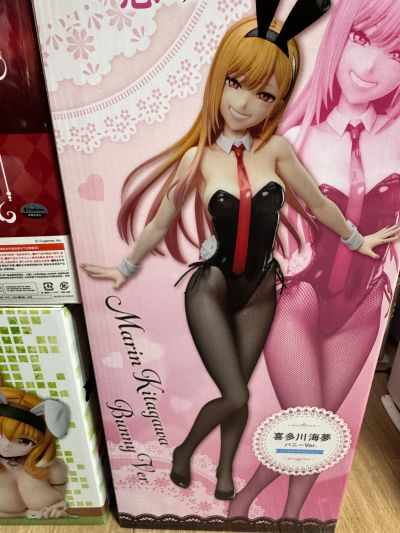 B-style 异世界迷宫里的后宫生活 罗克珊 兔女郎