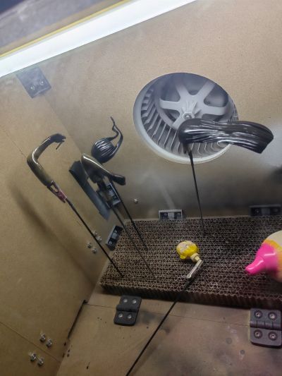 您的邻家姐姐  黒沼