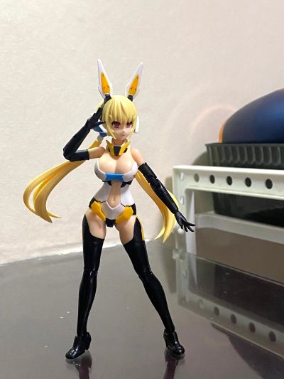 Vlocker's Fiore Iris