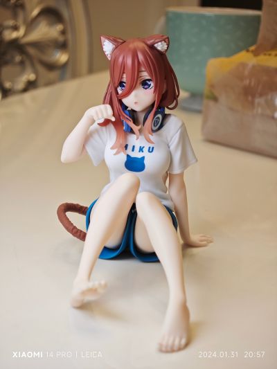 Desktop Cute 五等分的新娘∬ 中野三玖~新绘制猫咪居家服~