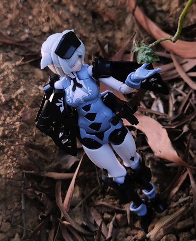 chitocerium VI-carbonia graphites