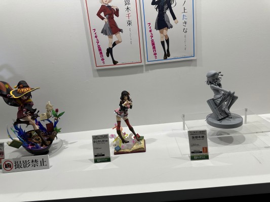 为美好的世界献上爆炎！ 芸芸  DX版