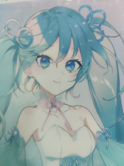 初音未来 塑料文件夹