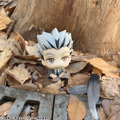 Look Up 排球少年 木兔光太郎