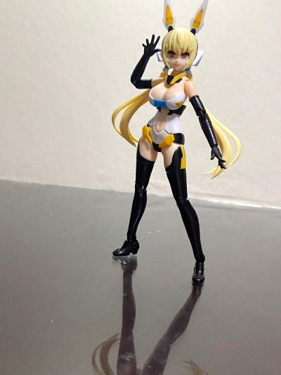 Vlocker's Fiore Iris