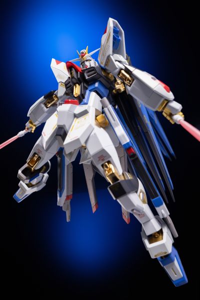 METAL ROBOT魂＜机动战士系列＞  强袭自由高达  SEED20周年纪念版