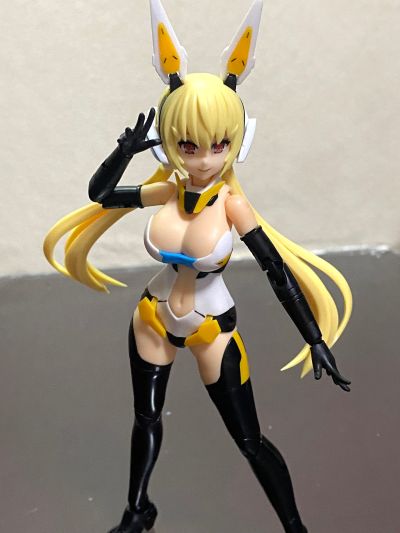 Vlocker's Fiore Iris