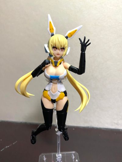 Vlocker's Fiore Iris