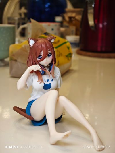 Desktop Cute 五等分的新娘∬ 中野三玖~新绘制猫咪居家服~