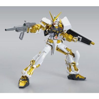 HG 机动战士高达SEED ASTRAY 异端高达金色机