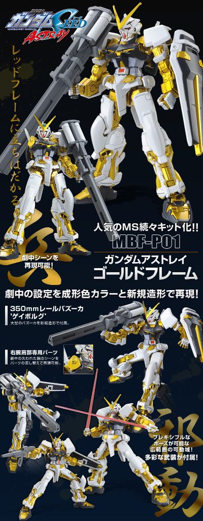 HG 机动战士高达SEED ASTRAY 异端高达金色机