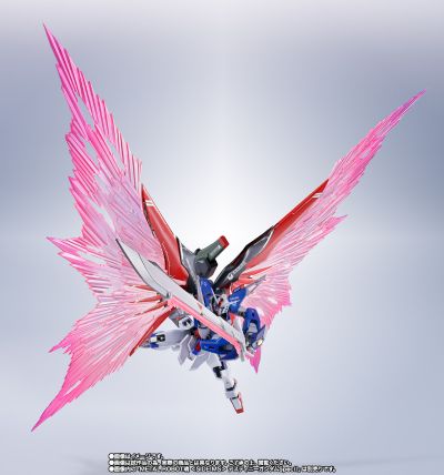METAL ROBOT魂＜机动战士系列＞ 机动战士高达SEED FREEDOM 命运高达规格Ⅱ专用光翼+特效件套装