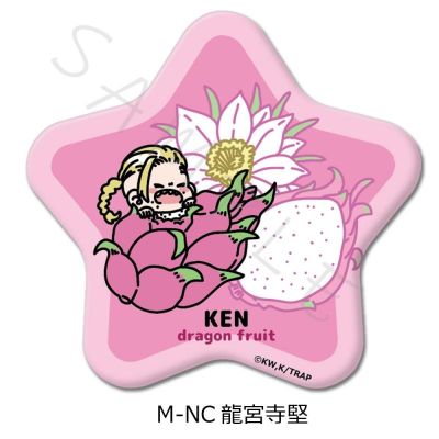 重生之道 第7弹 星形徽章