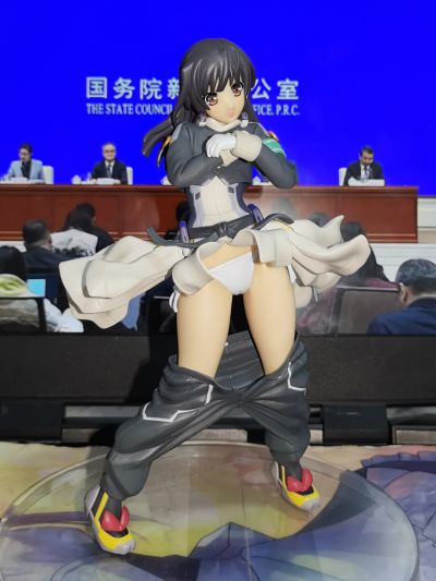 境界上的地平线 本多正纯 被脱下裤子的副会长