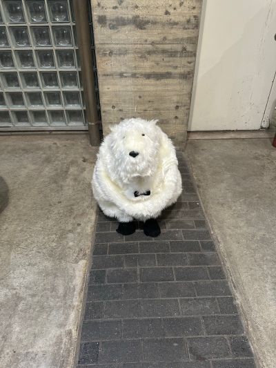 异能力者少女 爱丽丝