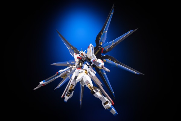 METAL ROBOT魂＜机动战士系列＞  强袭自由高达  SEED20周年纪念版