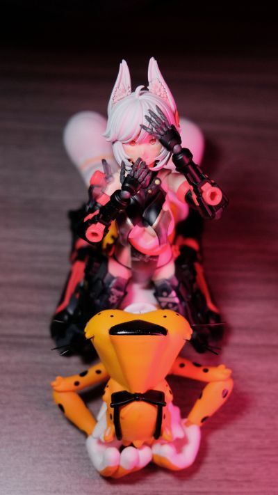 萝莎计划 罗刹·绯狐