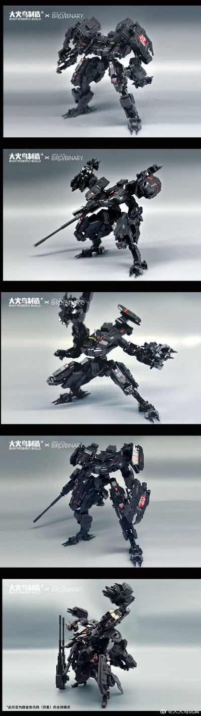 异鸟代码 烟虎（枪花&黑猫）