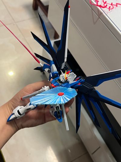 HG   1/144 飞升自由高达