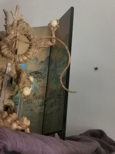 造形师×写真家 龙珠Z 神龙 ver.B