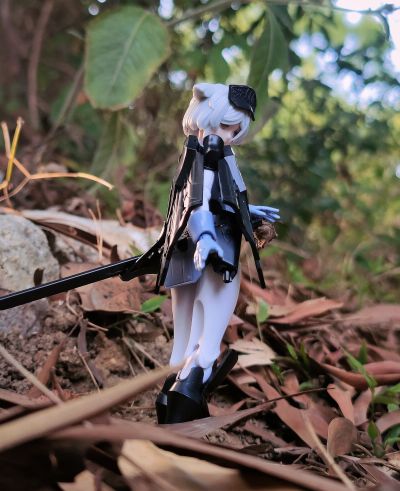 chitocerium VI-carbonia graphites