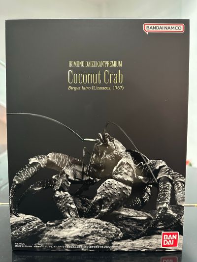 高级生物大图鉴 椰子蟹