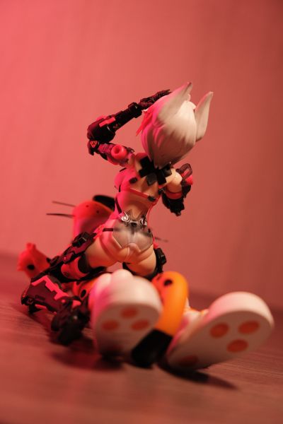 萝莎计划 罗刹·绯狐