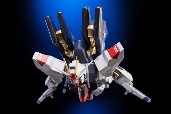 METAL ROBOT魂＜机动战士系列＞  强袭自由高达  SEED20周年纪念版