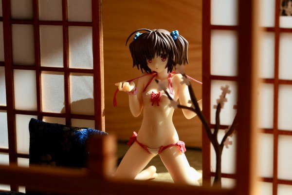 百花繚乱 直江兼続 水着Ver.