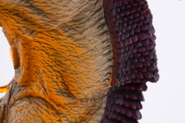 HQF 妖尾 纳兹・多拉格尼尔