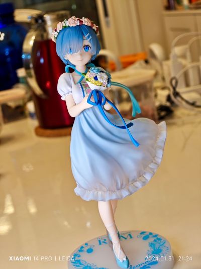 Trio-Try-iT Re：从零开始的异世界生活  雷姆·伴娘