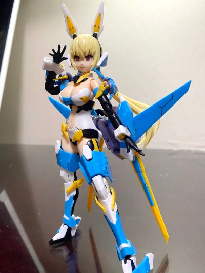 Vlocker's Fiore Iris