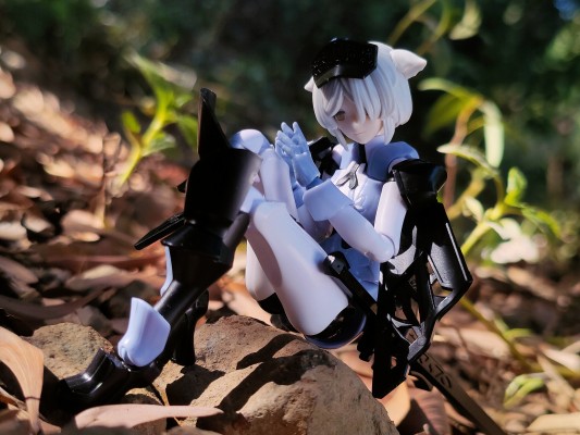 chitocerium VI-carbonia graphites