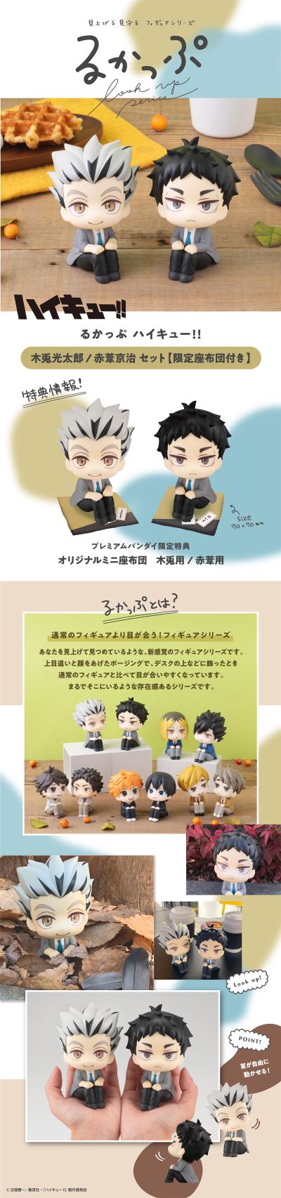 Look Up 排球少年 木兔光太郎