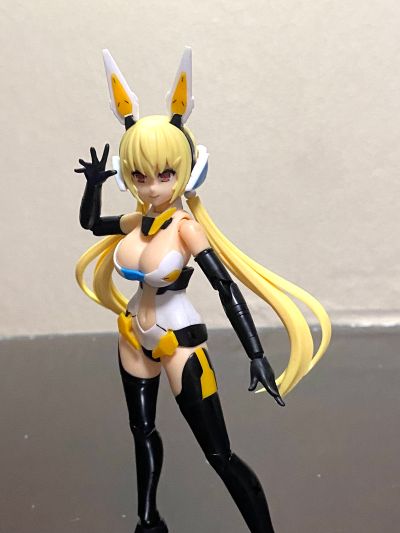 Vlocker's Fiore Iris