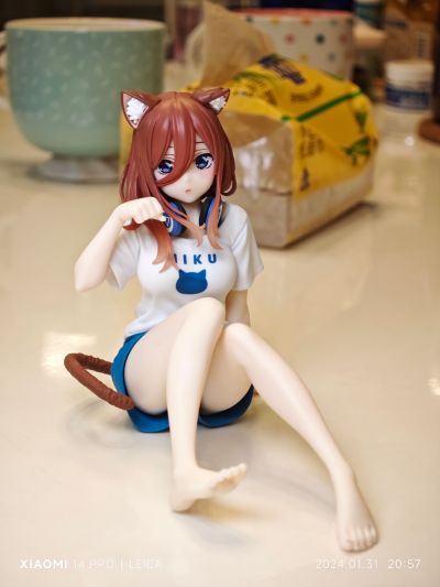 Desktop Cute 五等分的新娘∬ 中野三玖~新绘制猫咪居家服~