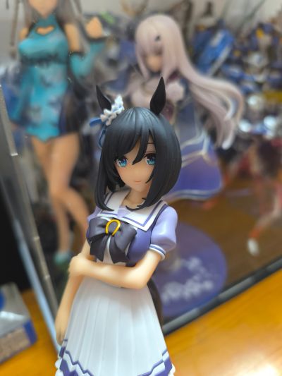 赛马娘 闪耀！优俊少女 荣进闪耀